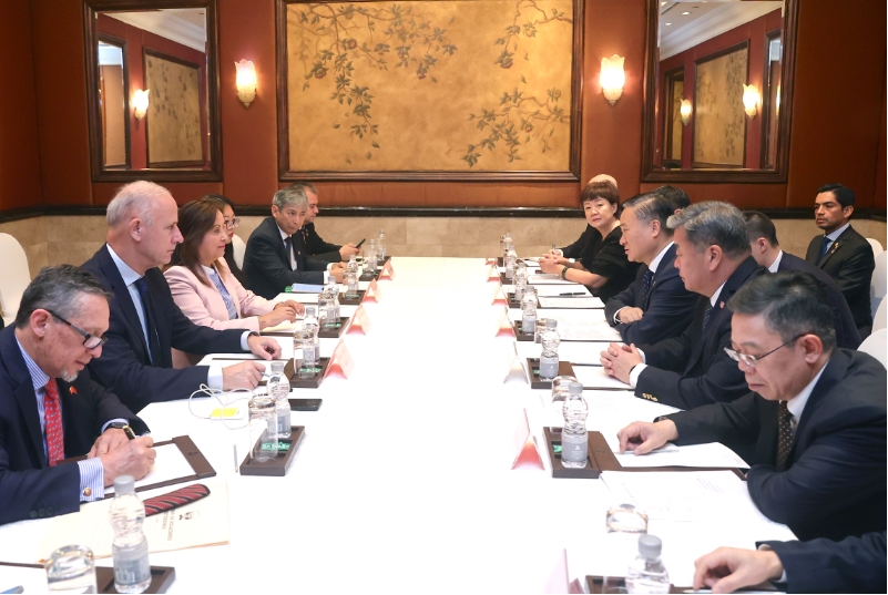 �������ݕ��������͇����y����������